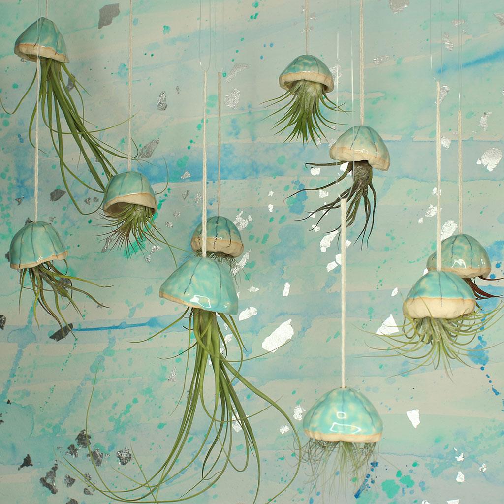 The Story Behind Our Jellyfish Air Plants - Habulous