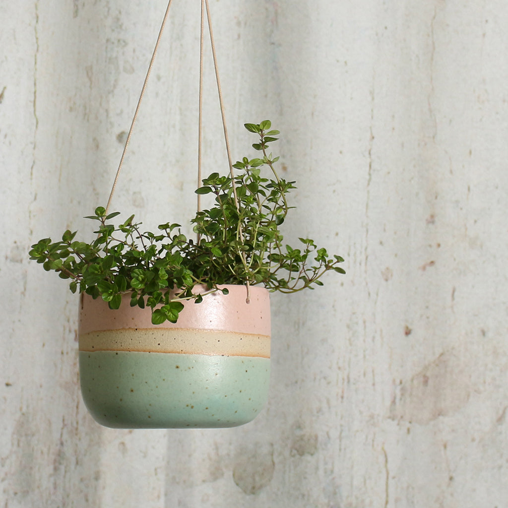 A stoneware hanging plant pot with a plant in, with a mint green glaze on the base and a pale pink glaze around the top, seperated by exposed fleck clay. 