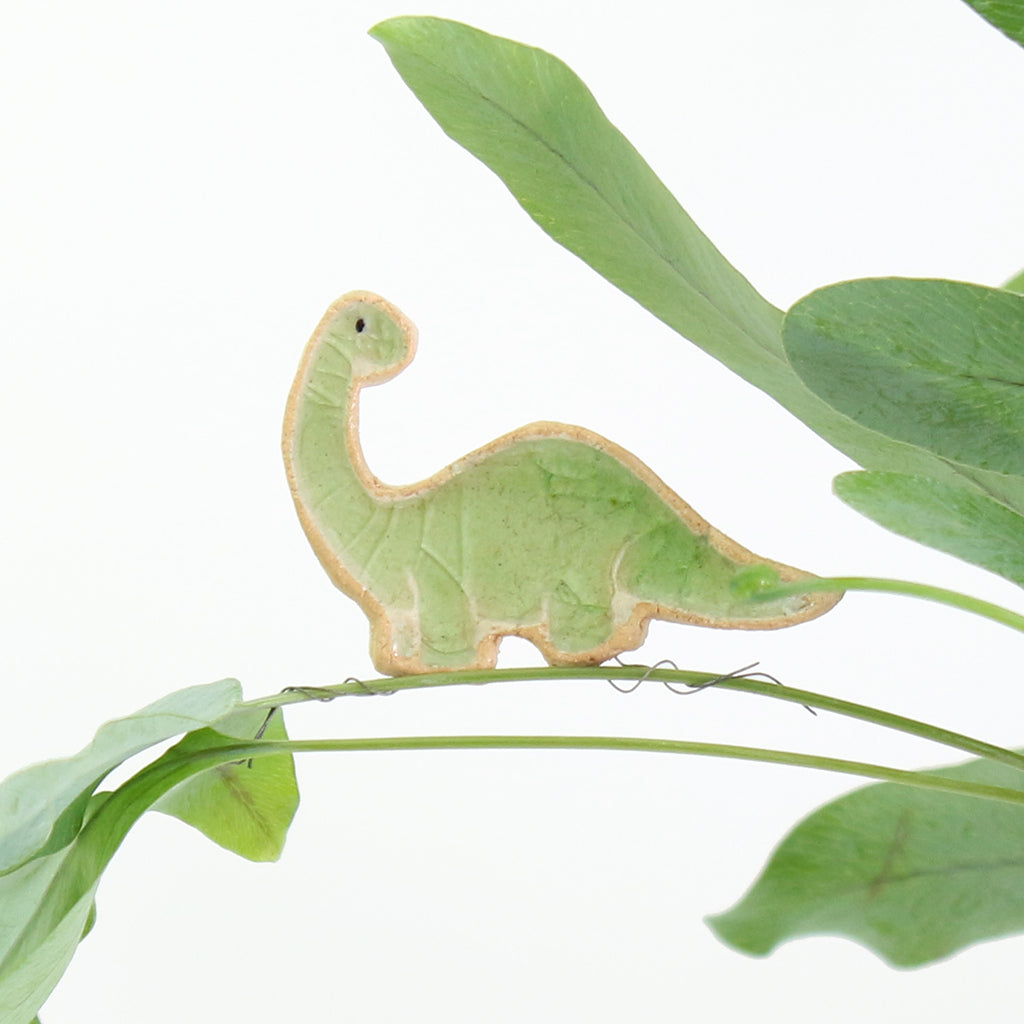 Dinosaur Plant Hugger Decorations