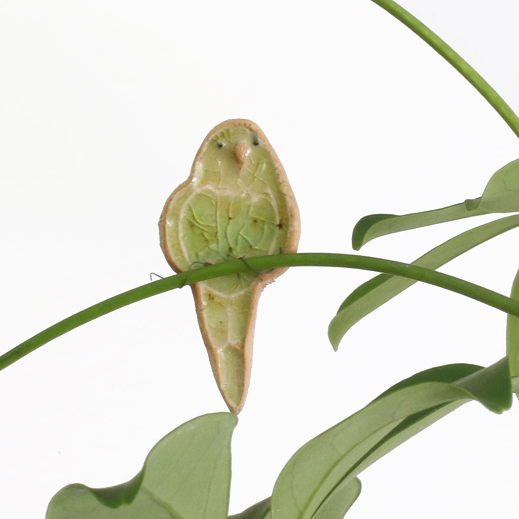 small ceramic and glass emerald green budgie plant decoration, with thin wire feet wrapped around house plant stem