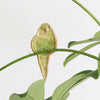 small ceramic and glass emerald green budgie plant decoration, with thin wire feet wrapped around house plant stem