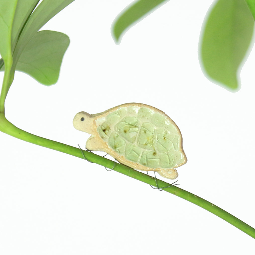 small ceramic and glass hazel tortoise plant decoration with thin wire wrapped around house plant stem