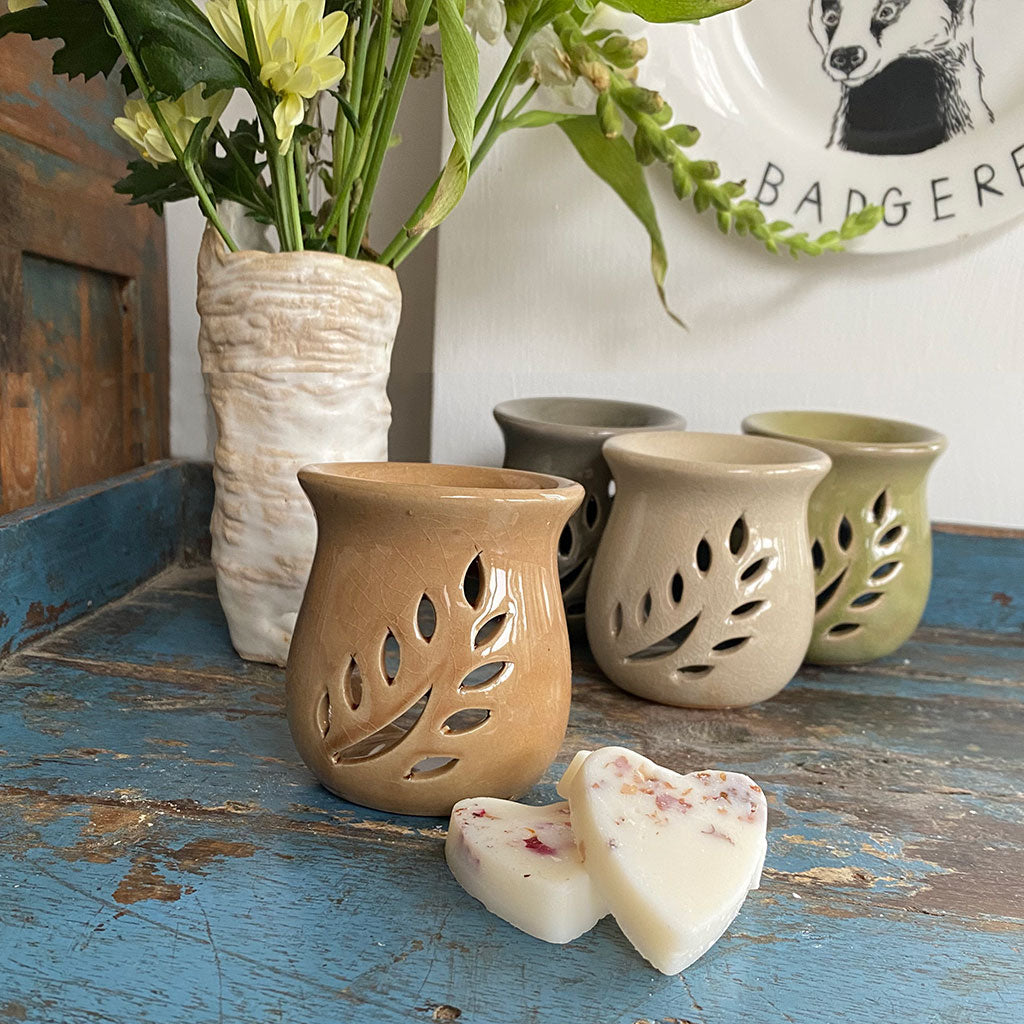 Eco Soya Wax Melts Small Leaf Burner Sets - Available In 4 Colours