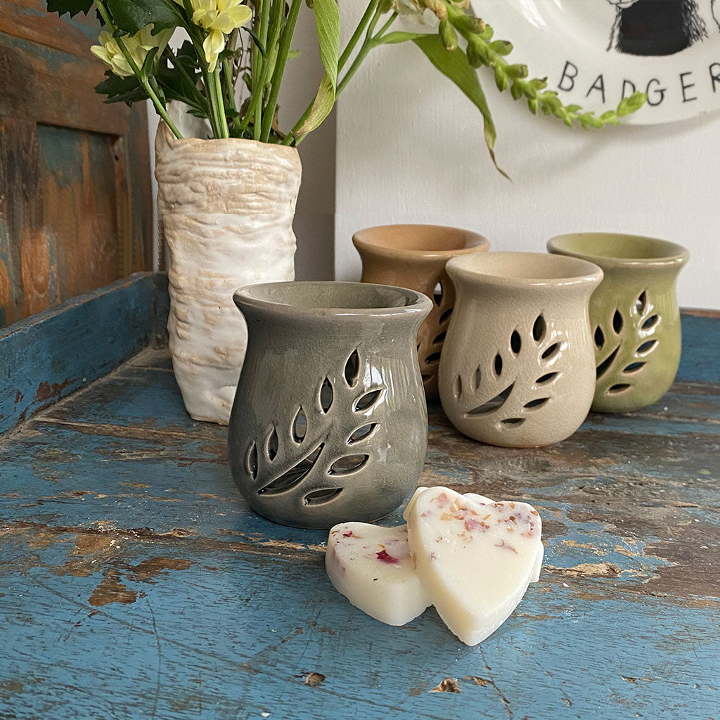 Eco Soya Wax Melts Small Leaf Burner Sets - Available In 4 Colours