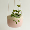 Pale Pink Hanging Planter Stone - Habulous