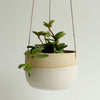 Off-White Hanging Planter Stone - Habulous