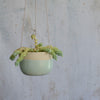 Mint Green Hanging Planter Stone - Habulous