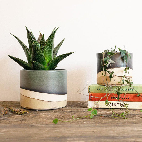 A large moorland plant pot with a spiky cactus in. Next to it is the medium planter containing a string of hearts on top of three vintage books