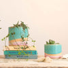 A medium shoreline planter in a bright turquoise and pale pink glaze seperated by a band of raw clay containing a string of hearts plant. The plant pot sits on top of three vintage books next to a small shoreline plant pot and shells.